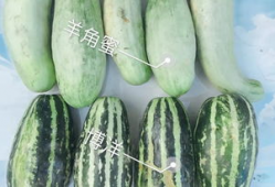 网红专区吃瓜反差